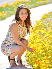 Stacey Spring Flowers